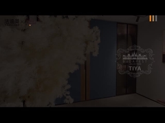 फेडियर तीसरी पीढ़ी स्टेनलेस स्टील वार्डरोब